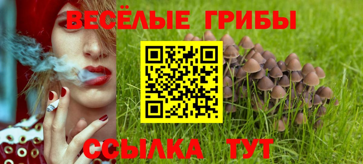 Нижневартовск  Галлюциногенные грибы прущие грибы  закладка  Вход с VPN 